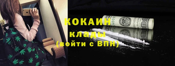 прущие грибы Волосово
