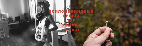 дмт Володарск