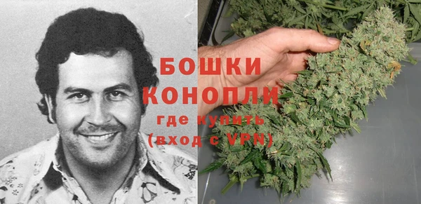прущие грибы Волосово