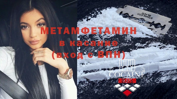 прущие грибы Волосово